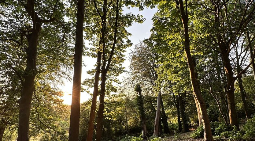 Photo of The Enchanted Green