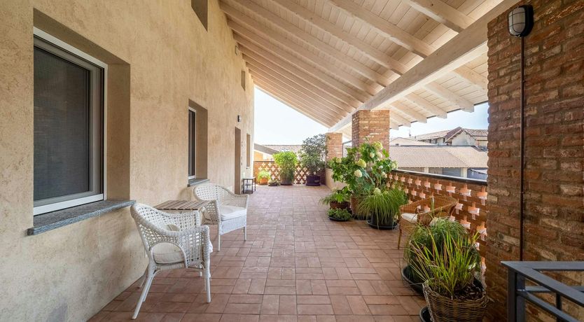 Photo of The Park Horse