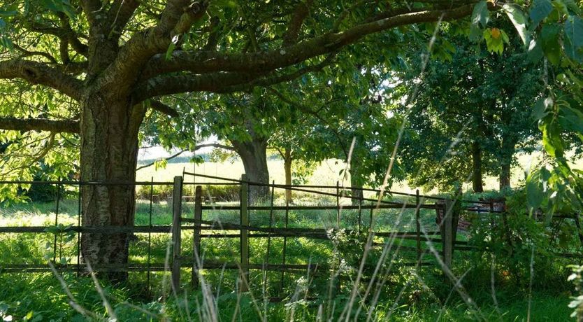 Photo of The Free Ranger