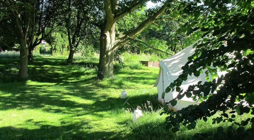 Photo of The Free Ranger