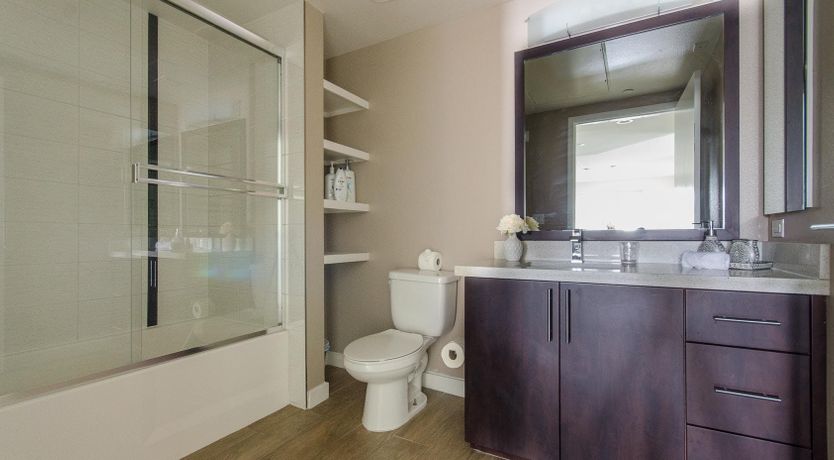 Photo of Birth Of Venus