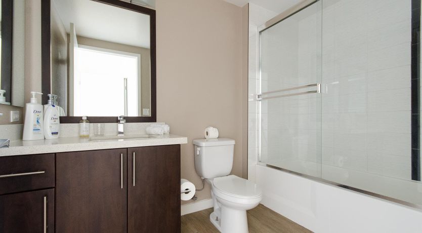 Photo of Birth Of Venus