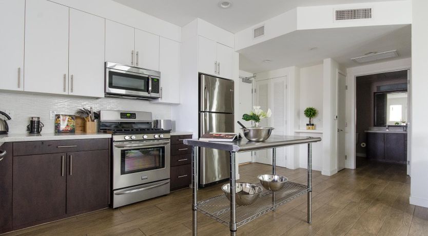 Photo of Birth Of Venus