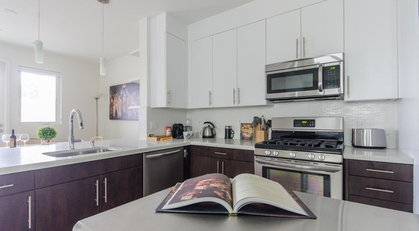 Photo of Birth Of Venus