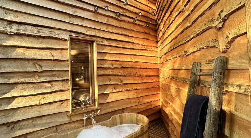 Photo of Leaves & Oak