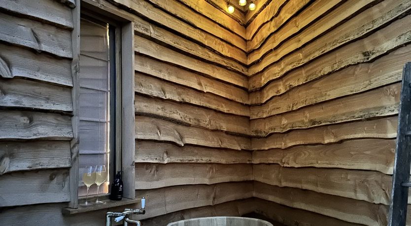 Photo of Leaves & Oak