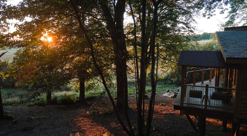 Photo of Leaves & Oak