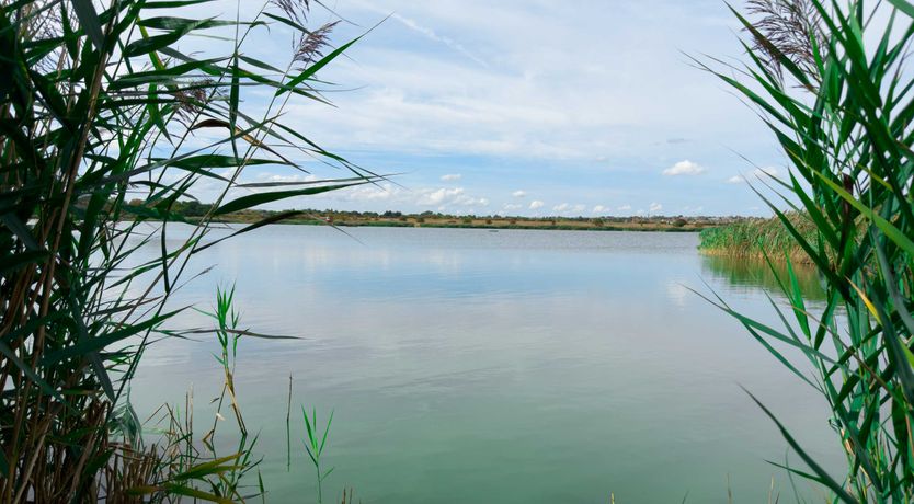 Photo of Foreman's Cottage