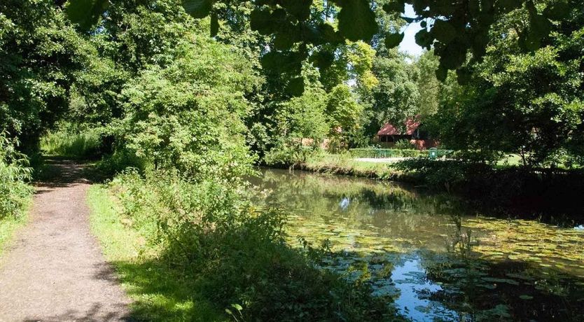 Photo of Tudor Romance