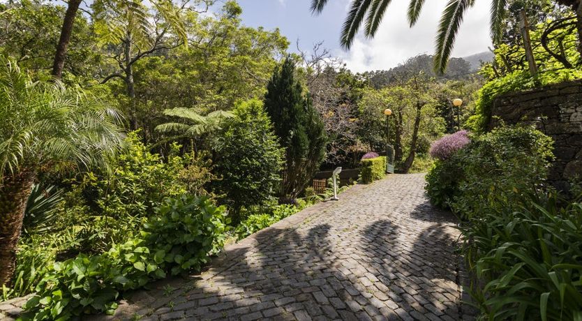 Photo of Tinta Negra