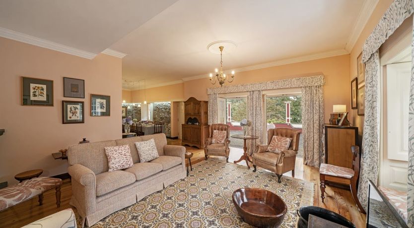 Photo of Tinta Negra