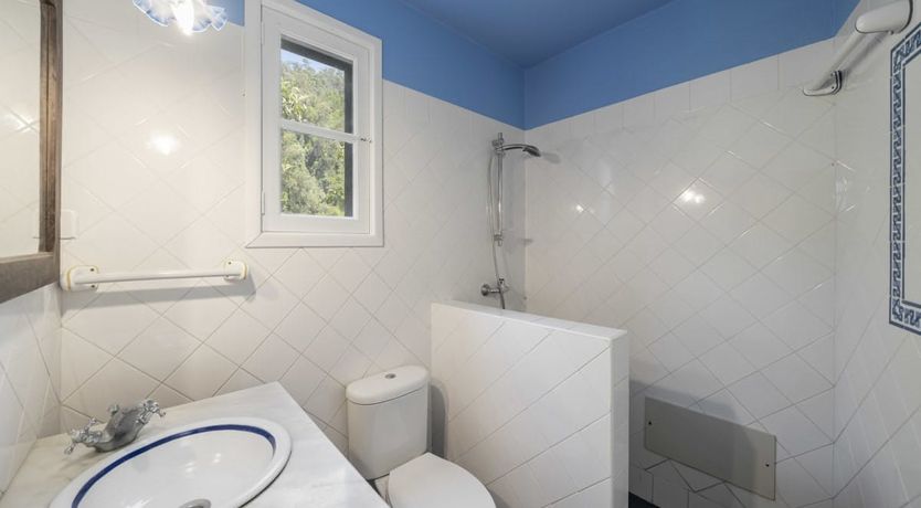 Photo of Tinta Negra