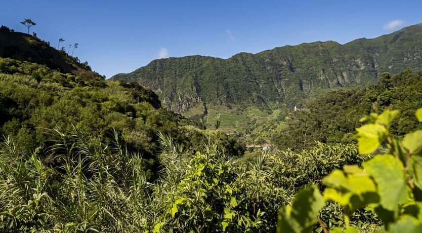 Photo of Tinta Negra