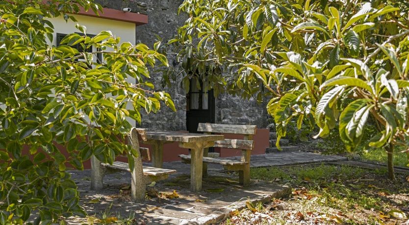 Photo of Tinta Negra