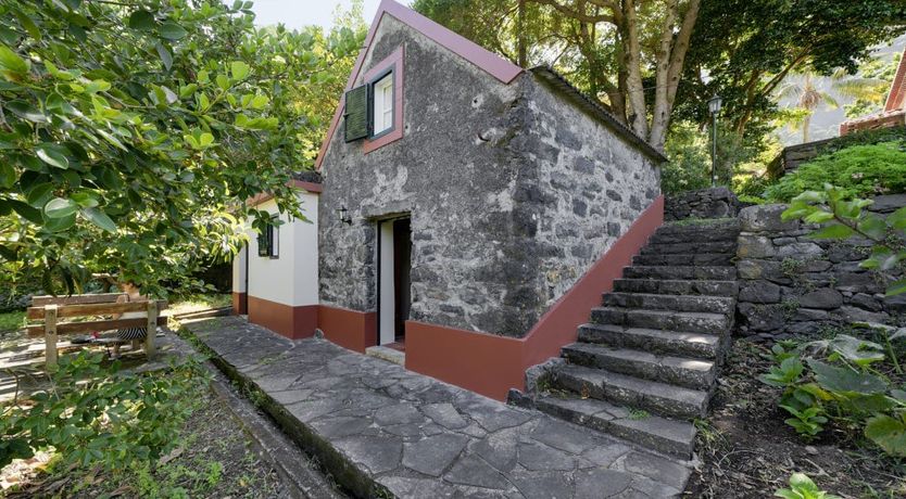 Photo of Tinta Negra