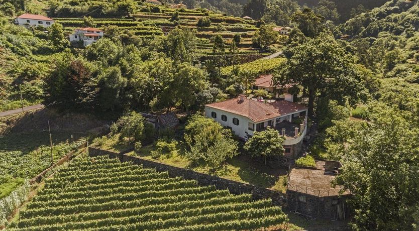 Photo of Tinta Negra