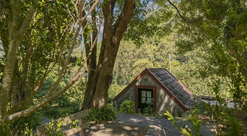 Photo of Tinta Negra