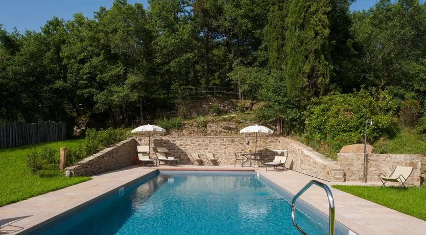 Photo of The White Olive Tree