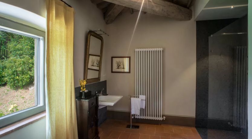 Photo of The White Olive Tree