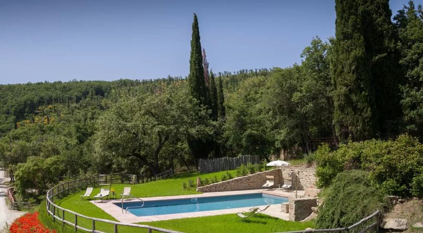 Photo of The White Olive Tree