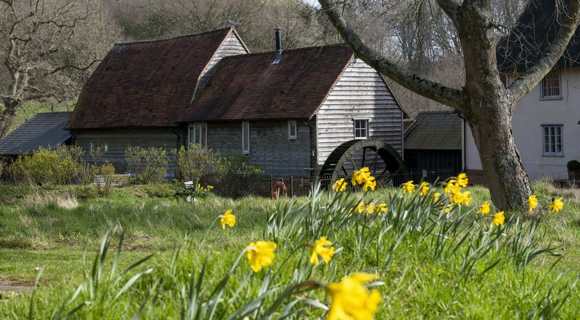 Photo of Green & Pleasant Land