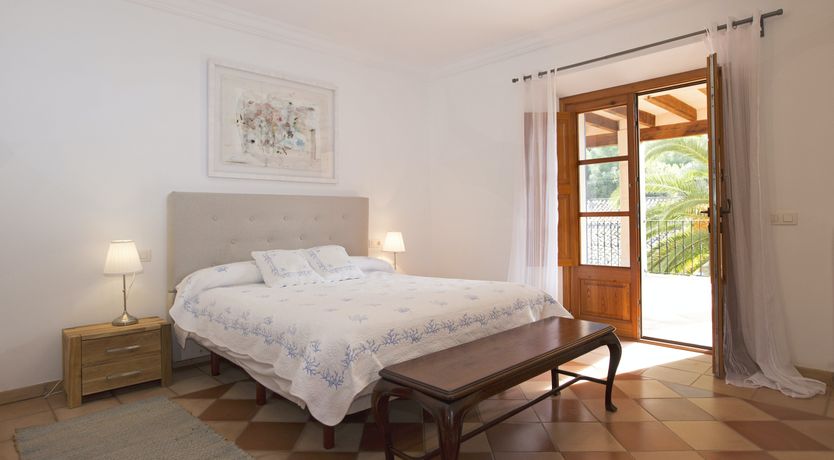 Photo of You Gotta Have Fronds