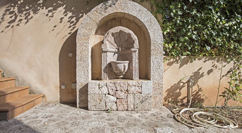 Photo of You Gotta Have Fronds