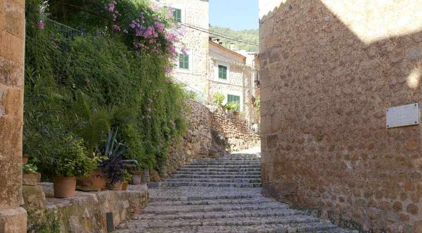 Photo of You Gotta Have Fronds