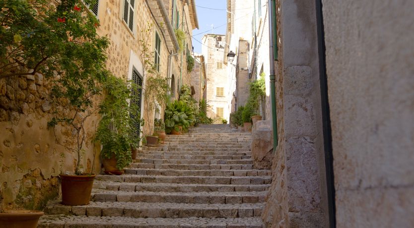 Photo of You Gotta Have Fronds