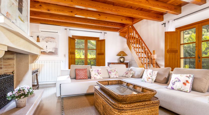 Photo of You Gotta Have Fronds