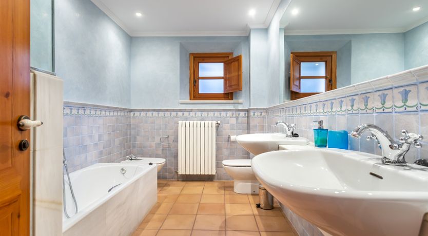 Photo of You Gotta Have Fronds