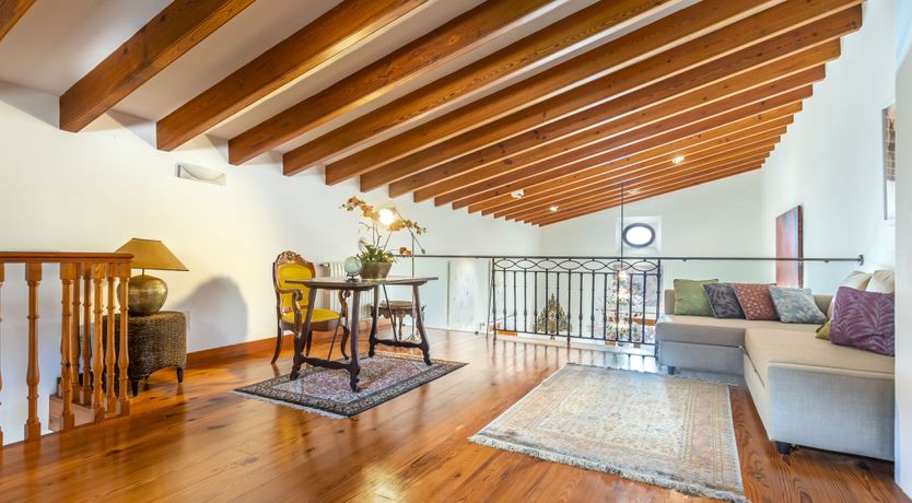 Photo of You Gotta Have Fronds