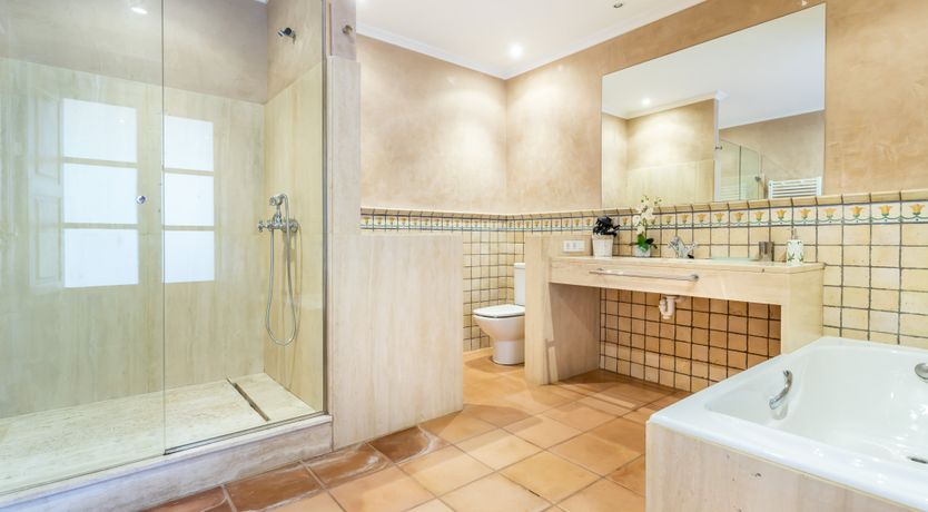 Photo of You Gotta Have Fronds