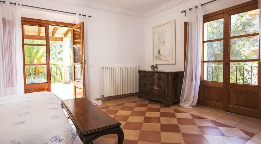 Photo of You Gotta Have Fronds