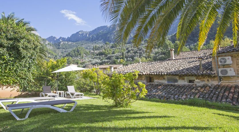 Photo of You Gotta Have Fronds