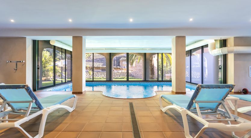 Photo of You Gotta Have Fronds