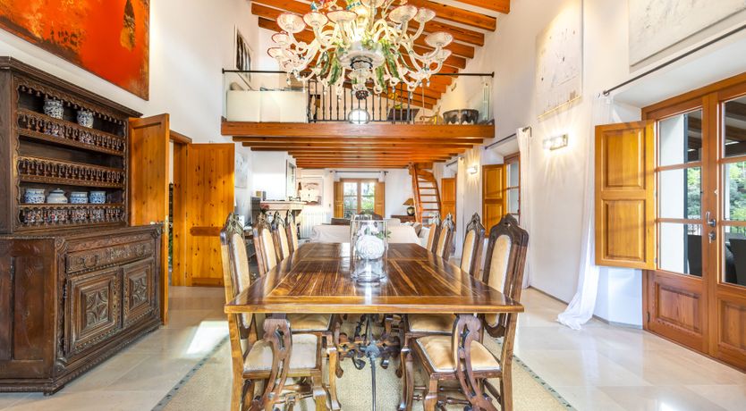 Photo of You Gotta Have Fronds