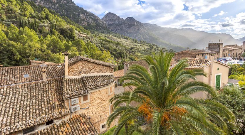 Photo of You Gotta Have Fronds