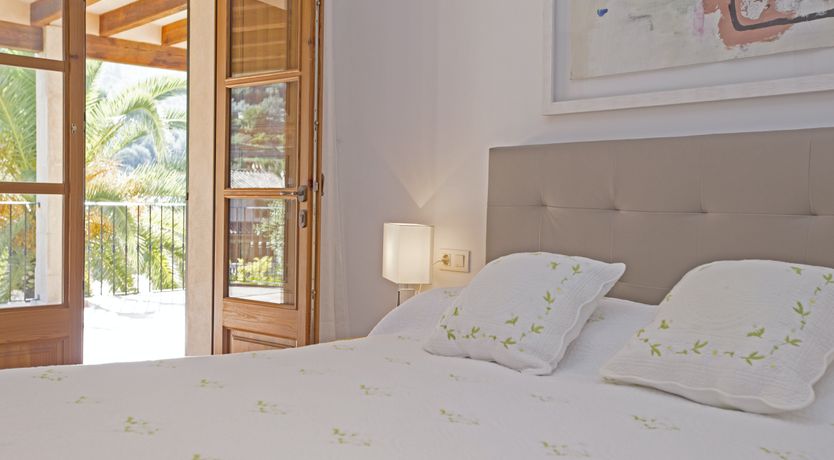 Photo of You Gotta Have Fronds