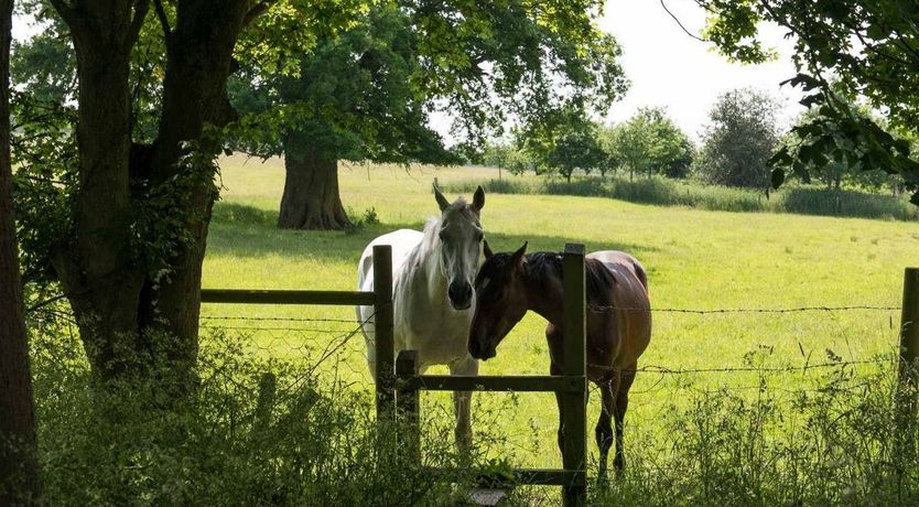 Photo of Farmer's Hideaway