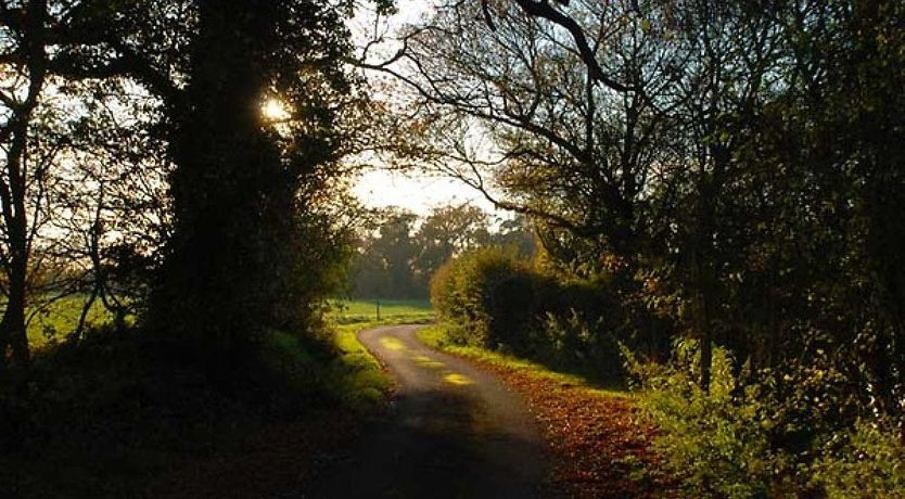 Photo of Farmer's Hideaway