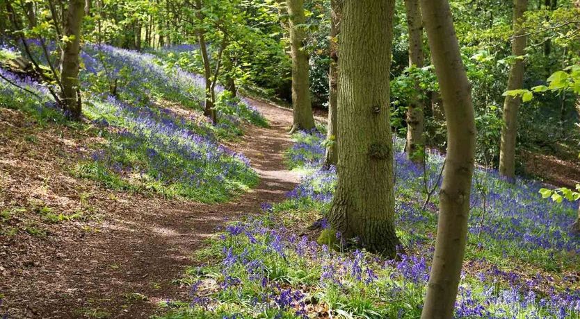 Photo of Farmer's Hideaway