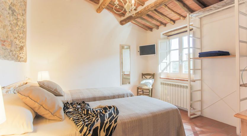 Photo of The Frantoio Olive