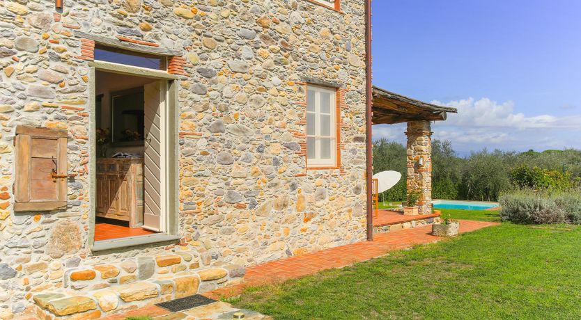 Photo of The Frantoio Olive