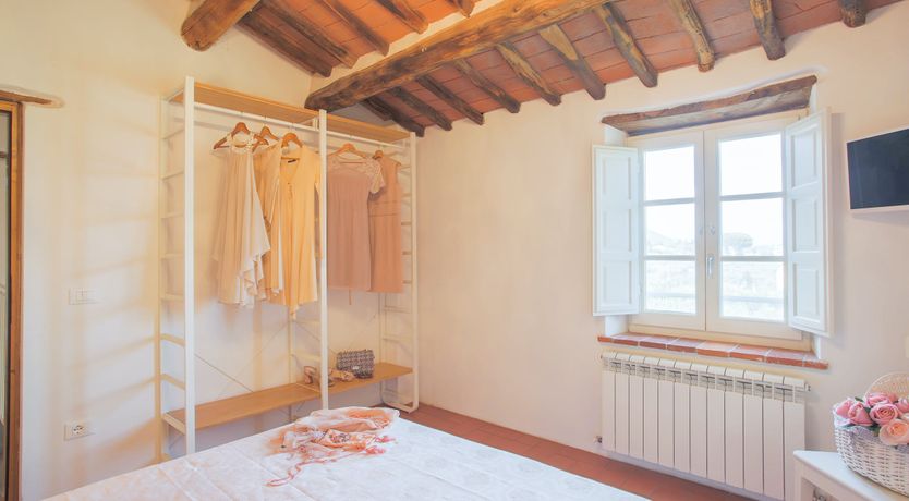 Photo of The Frantoio Olive