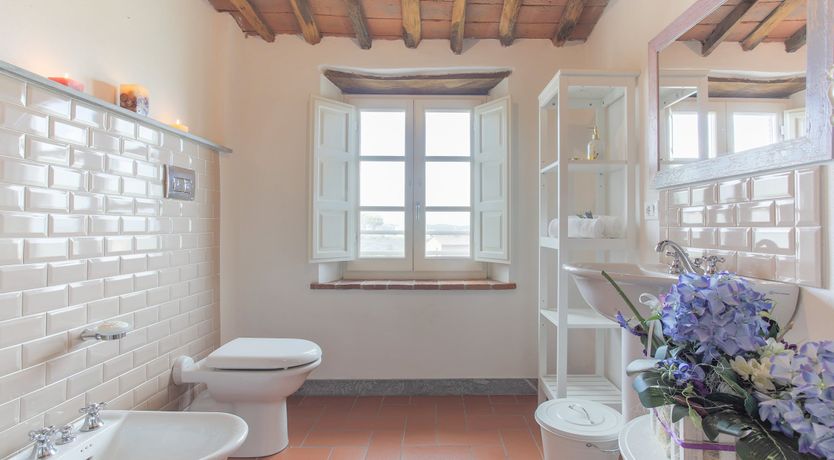 Photo of The Frantoio Olive