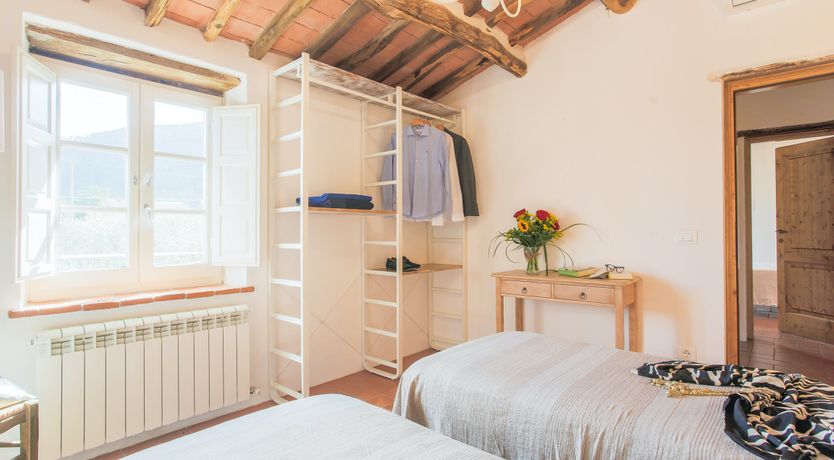 Photo of The Frantoio Olive