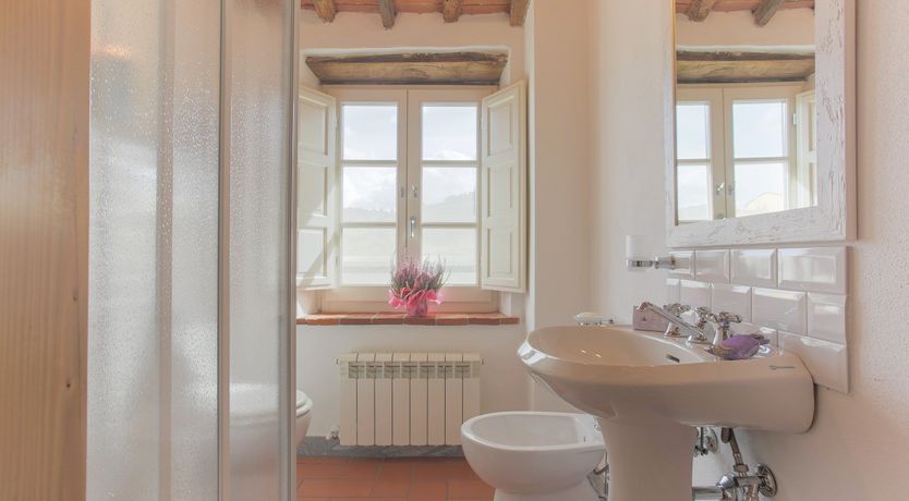 Photo of The Frantoio Olive