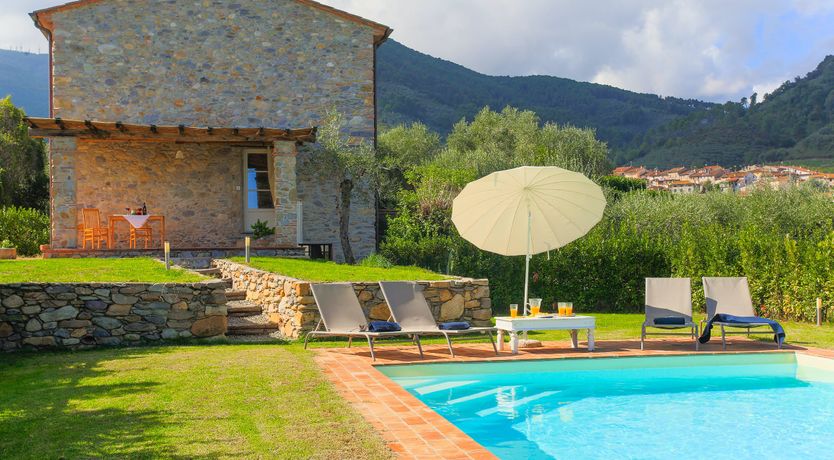 Photo of The Frantoio Olive