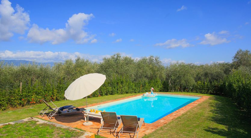 Photo of The Frantoio Olive